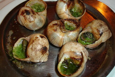 Escargot